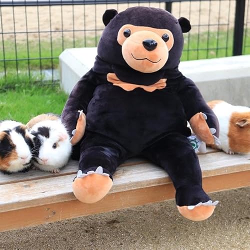 周南のほほんマレーグマ