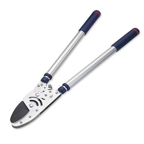 Spear & Jackson 8290RS Coupe-branches à Cliquet Télescopique à Enclume