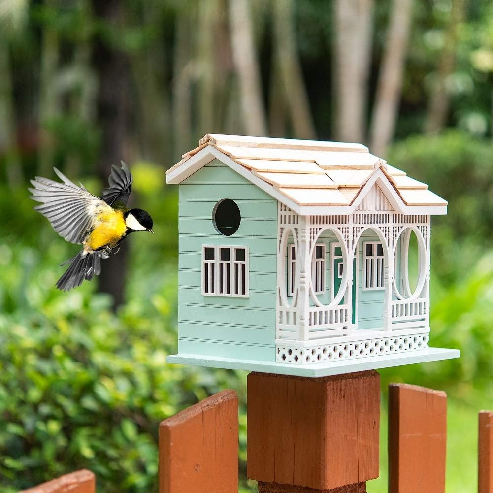 Modern Home Outdoor Wooden Birdhouse - Savannah Cottage : Patio, Lawn & Garden