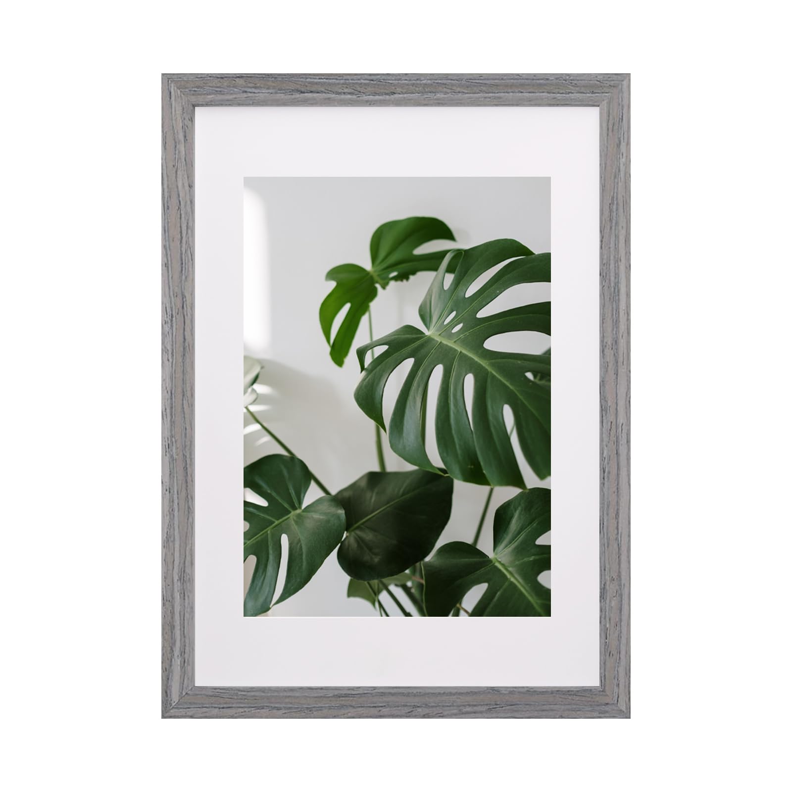 EGOFINE A3 Frame,100% Solid Wood Frame,A3 Picture Frames Matted for A4, A3 Photo Frame with Plexiglass,Certificate Frame for Table Top and Wall Mounting,29.7 X 42 cm Poster Frame, Light Gray