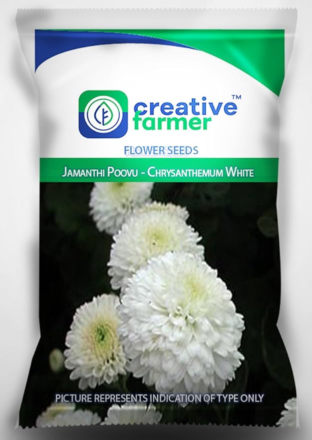 Creative Farmer Jamanthi Poovu Chrysanthemum White Seeds For Home