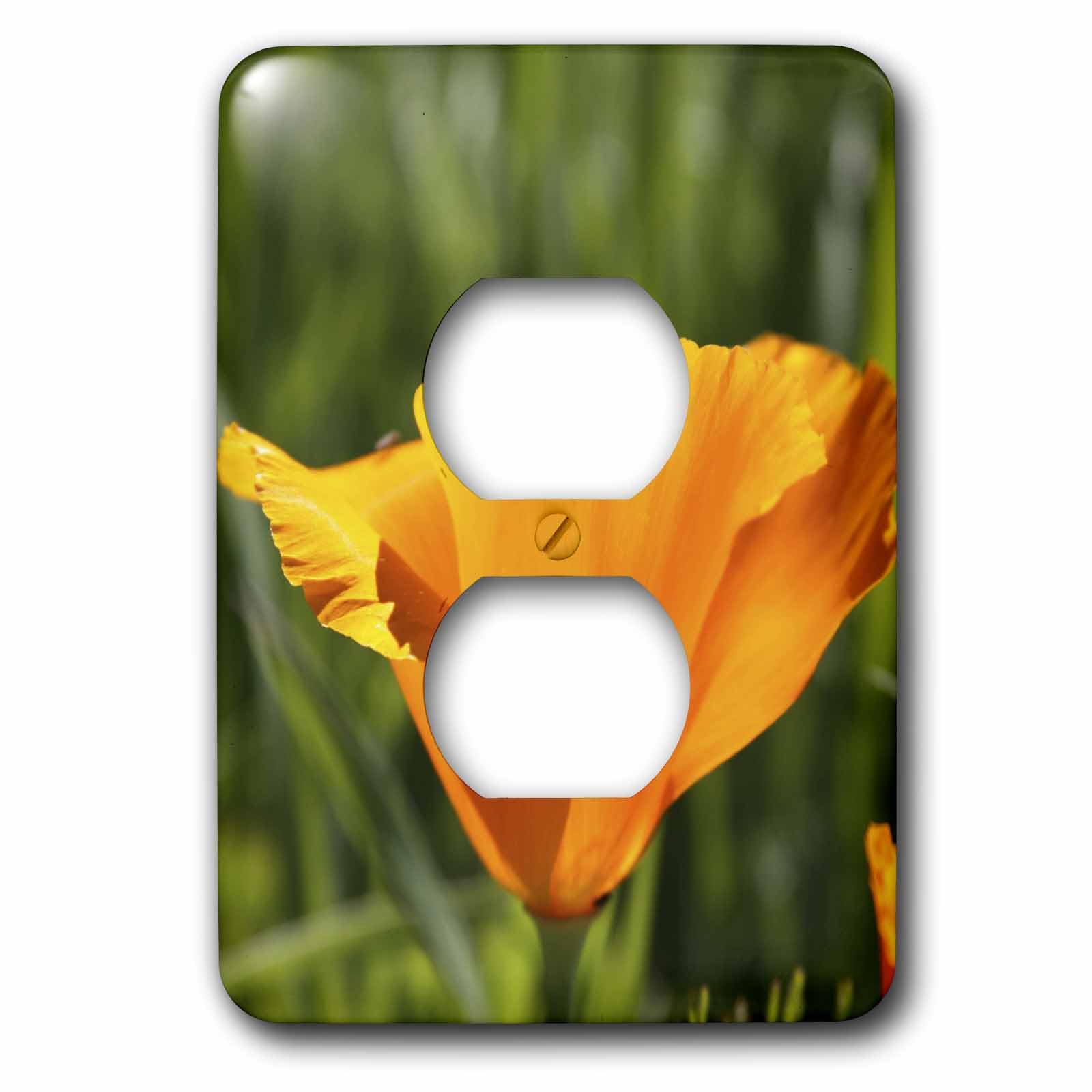Coquelicot de Californie Orange double prise lsp_41200_6