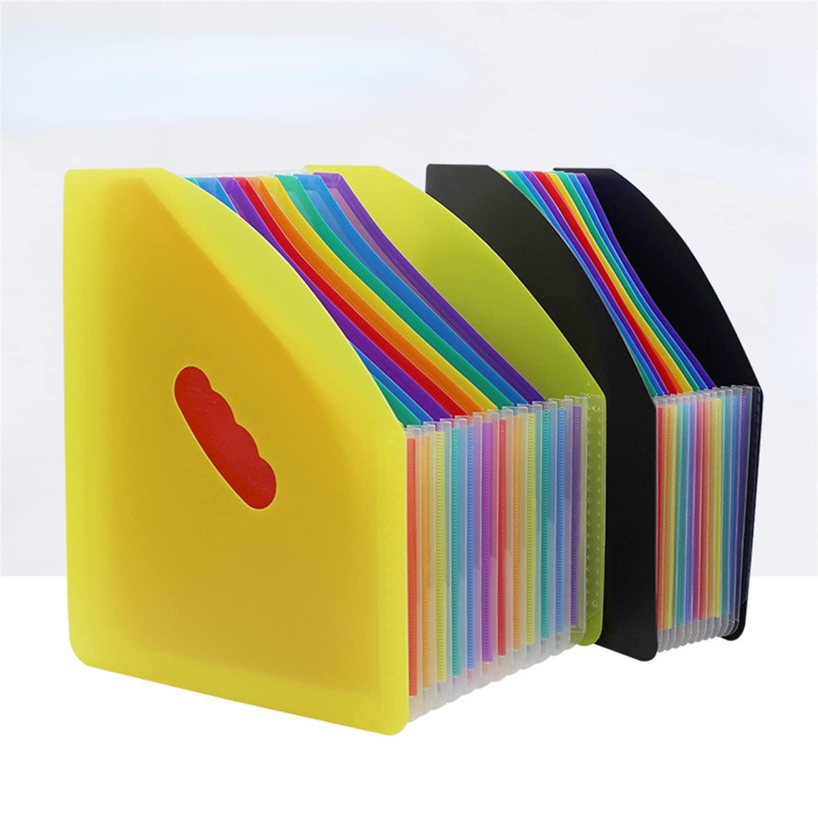 Carpeta archivadora expansible, Organizador con Bolsa Protectora for Documentos, Transparente, Paquete de 2