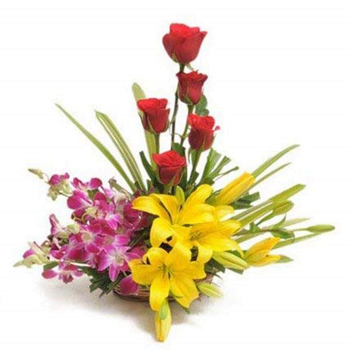 Special Basket Arrangement of 5 Red Roses, 3 Purple Orchids, 3 Yellow Asiatic Lilies Fresh Flowers || TFM-image-32