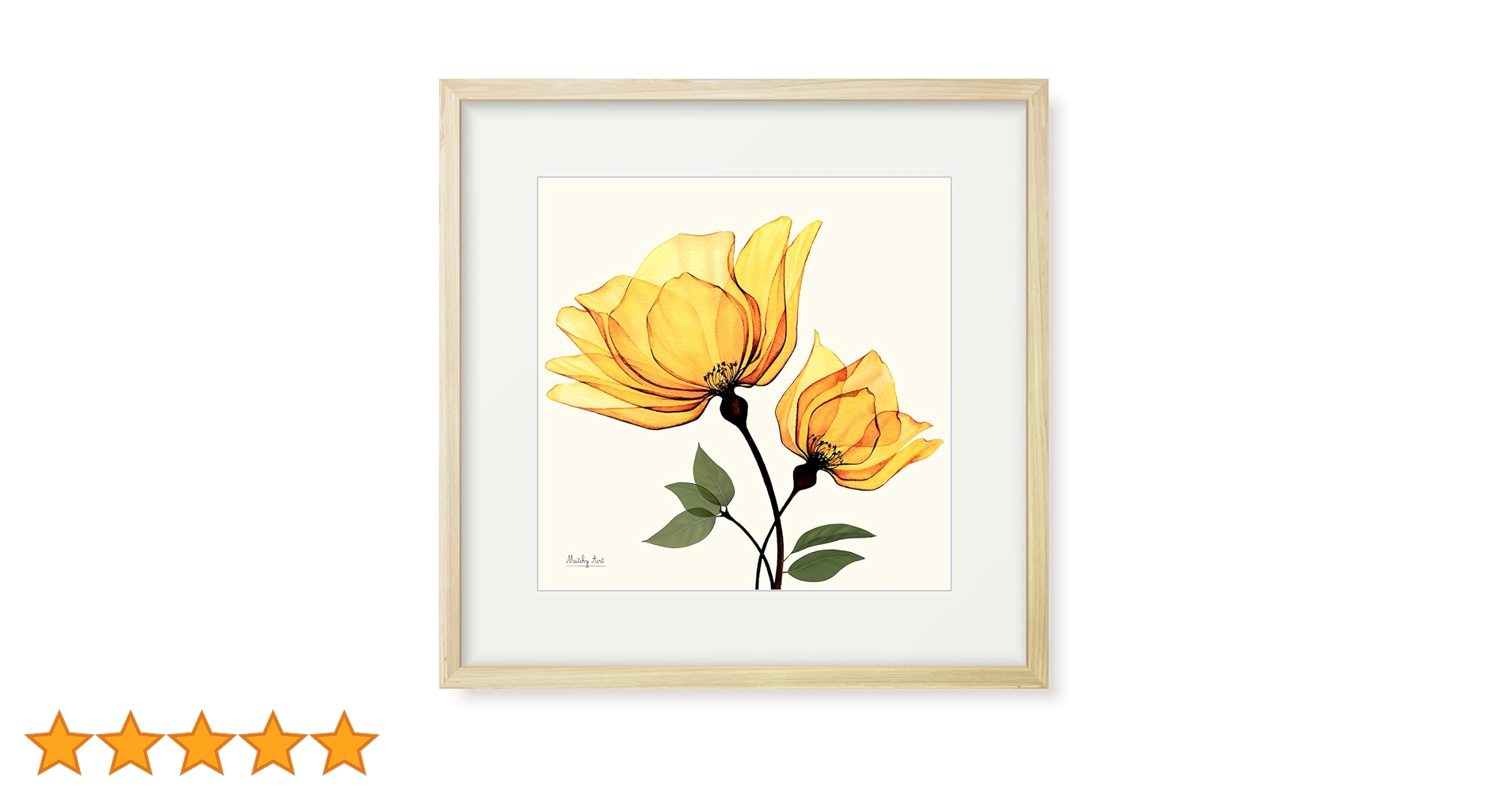 フラワーアート 絵画 インテリア額装 Amazon.co.jp: 絵画「オレンジ色の花」インテリア 絵 花 アート