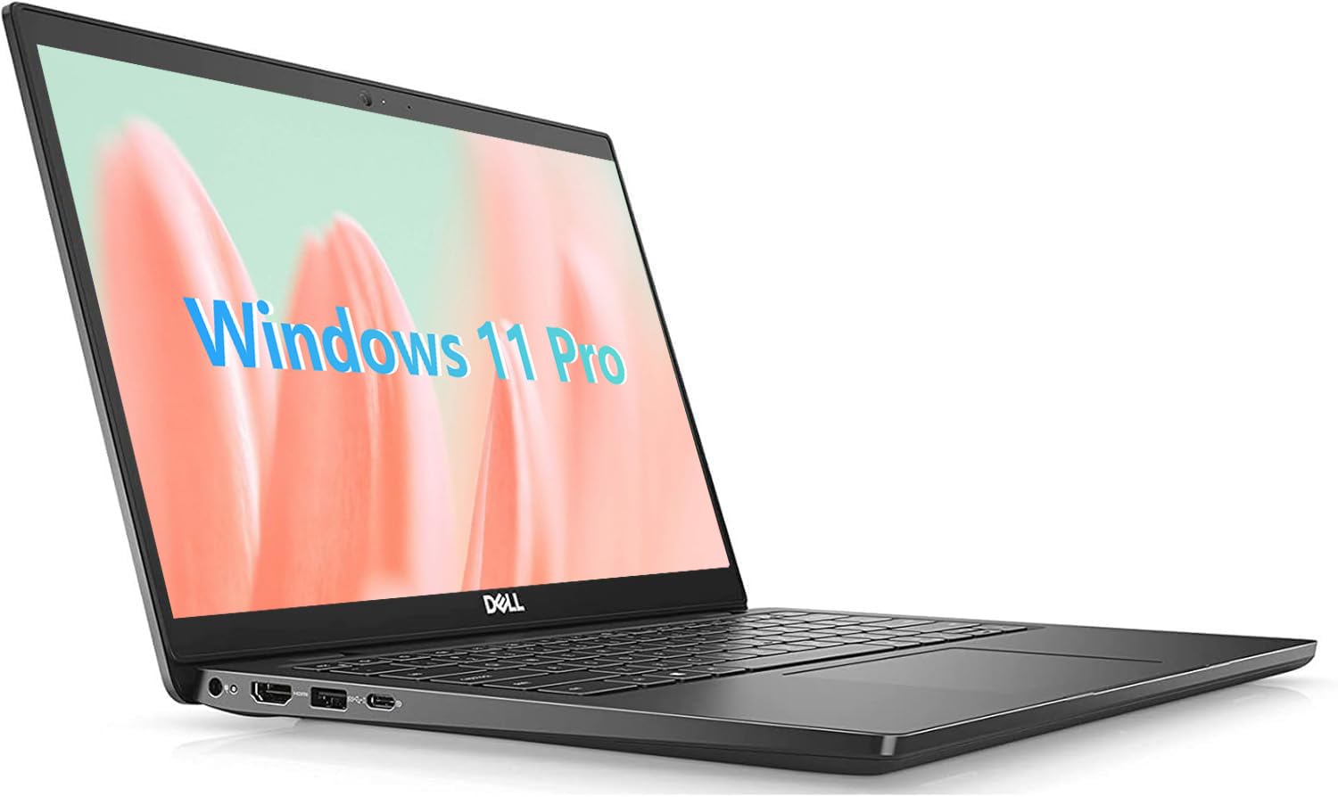 Amazon.com: Dell Latitude 3420 Business Laptop, 14