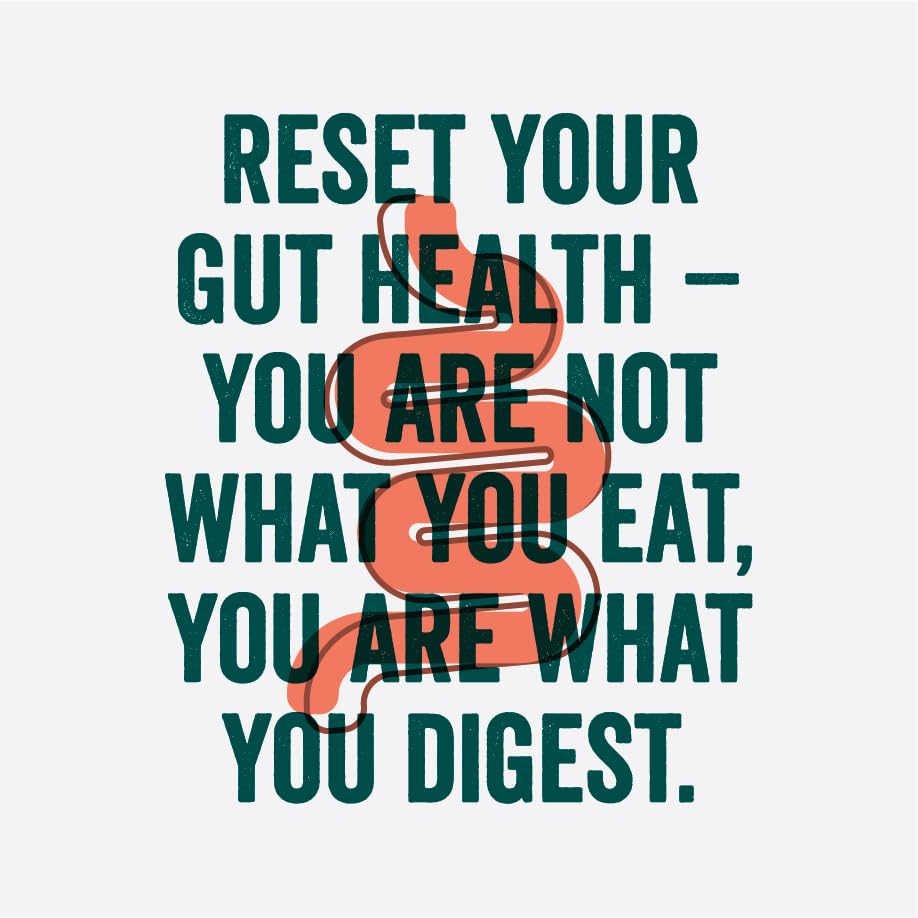 Image of Zoh Probiotics Mint Kombucha |(330 Ml, Pack Of 3)Green Tea With Detoxifying Acids, And Digestive Enzymes | Raw, Unfiltered, And Unpasteurized With Mother | Made With Real Mint Tea, 1.8 Kg