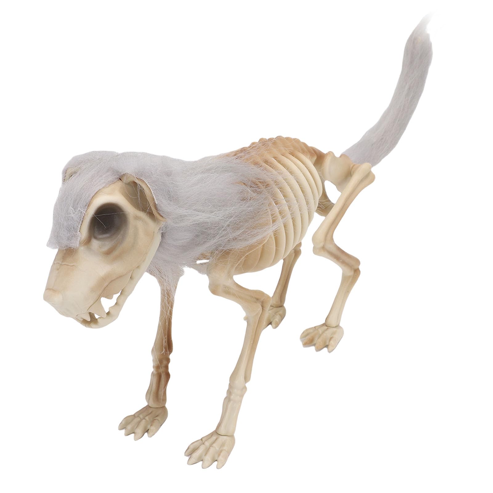 Chien squelette réaliste Sxhlseller pour décoration d'Halloween de table