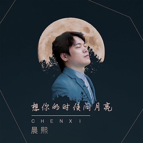 想你的时候问月亮