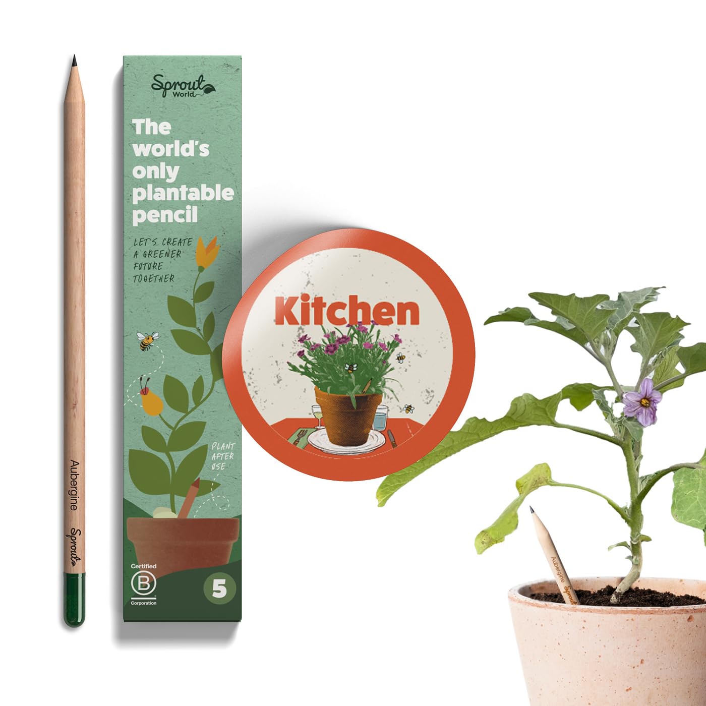SproutWorld Pencils | Kitchen Edition | Graphite Plantable Pencils with Herb, Fruit & Vegetable Seeds | Certified Wood | Great gift for home cooks | 5 Pack