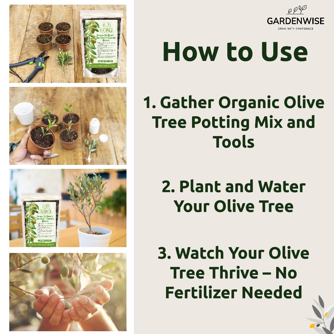 Amazon.com: GARDENWISE Organic Olive Tree Potting Mix – Fast