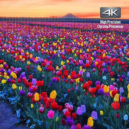 Panasonic DP-UB820-K Streaming 4K Blu Ray Player thumb #8