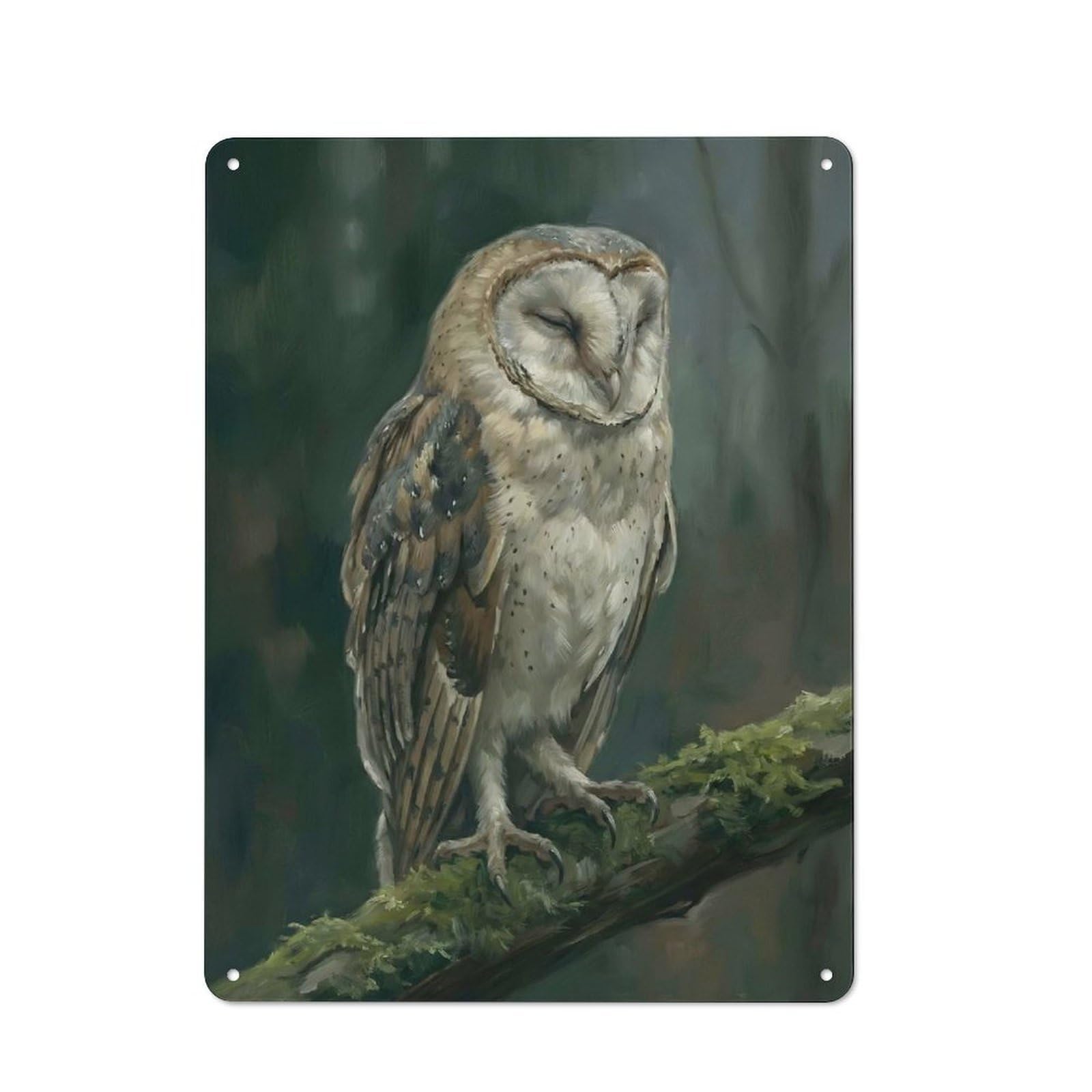 Barn Owl Perched on Mossy Branch Barn Style Metal Wall Decor 40x30cm, Country Metal Sign for Kitchen, Cottage, Porch Or Garden Room