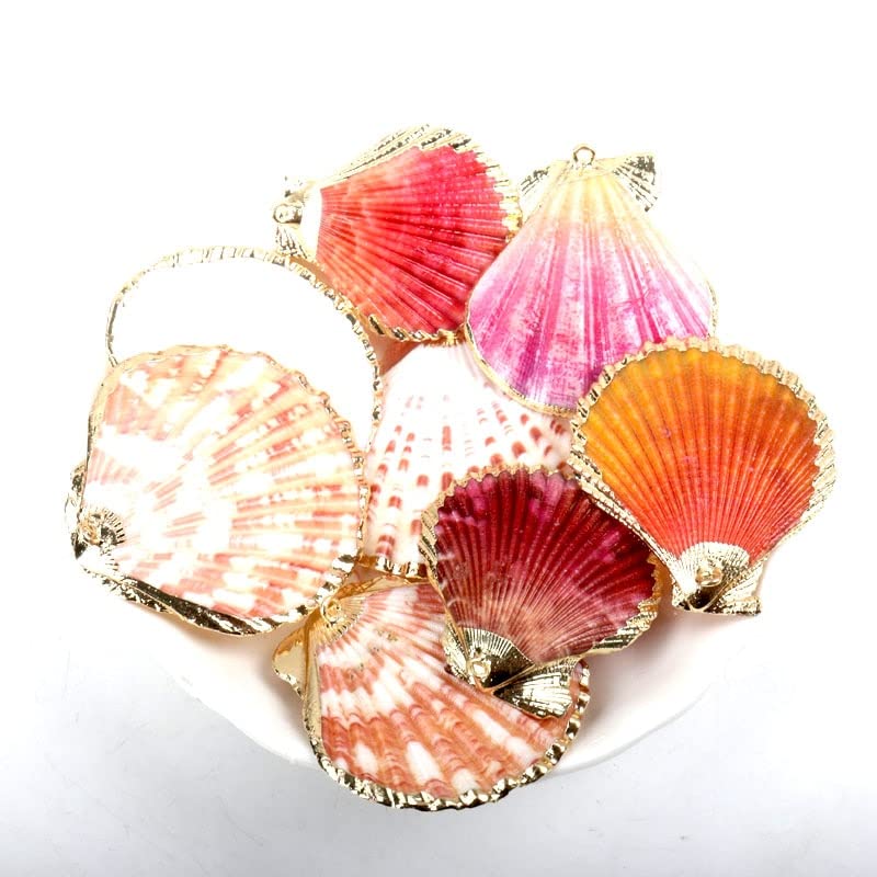 Coquillages de mer plaqués or x5 pour création bijoux - 3