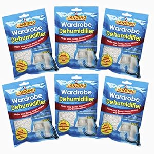 Deumidificatore da appendere per armadio, rimozione della condensa, assorbimento dell’umidità, deumidificatori per umidità, muffe, umidità in guardaroba, cantina, confezione da 6 e 12 (6)