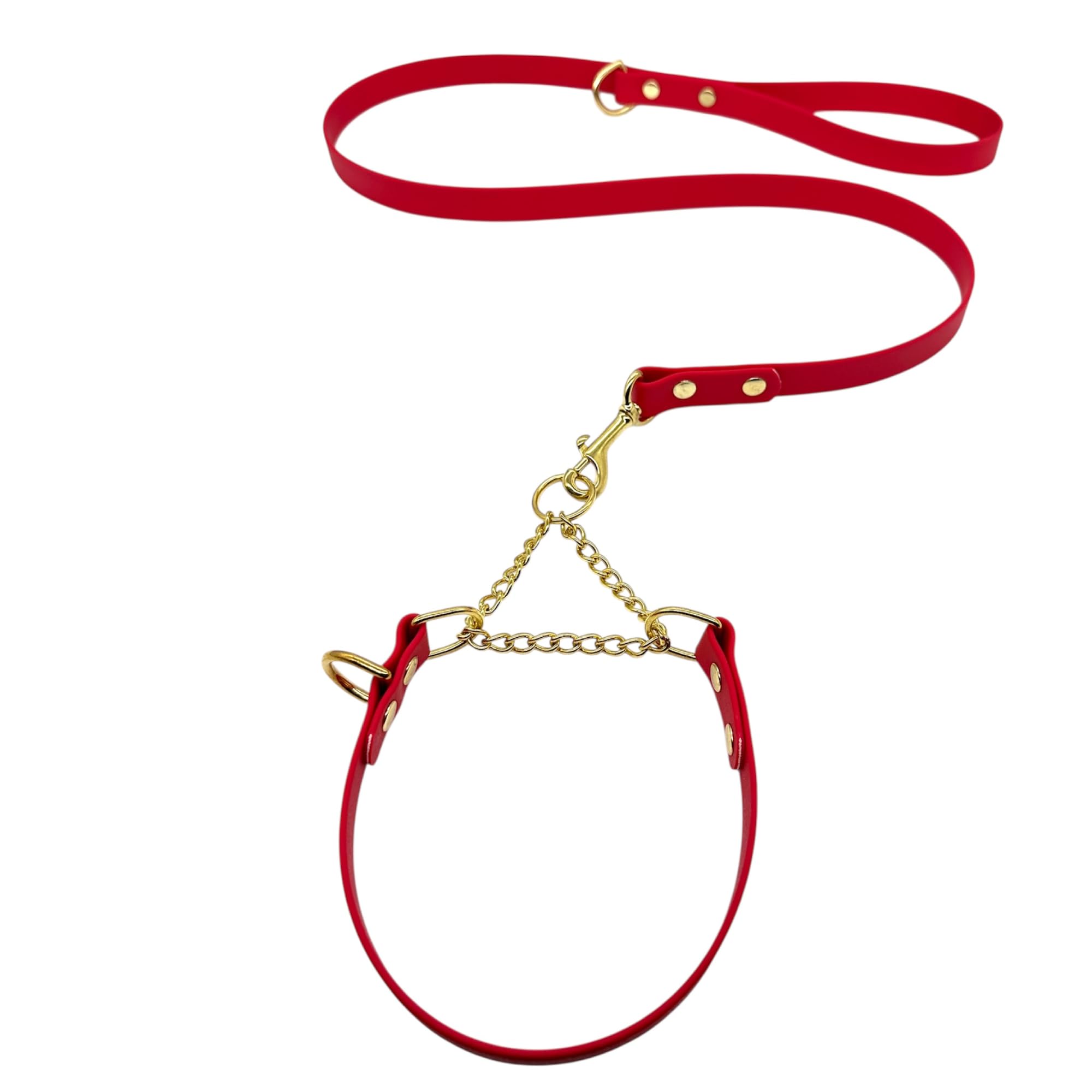 L&J Pets UK Martingale Dog Collar & Lead Set | Waterproof & Odour Proof | BioThane Webbing | Solid Brass Chain | Made in UK (Red, XS) — image 1
