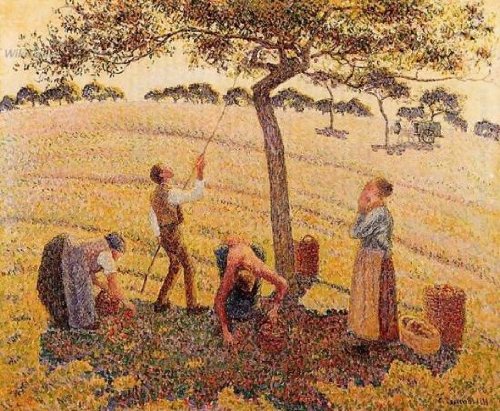 カミーユ・ピサロ (Camille Pissarro)プラムの花咲く樹 Camille