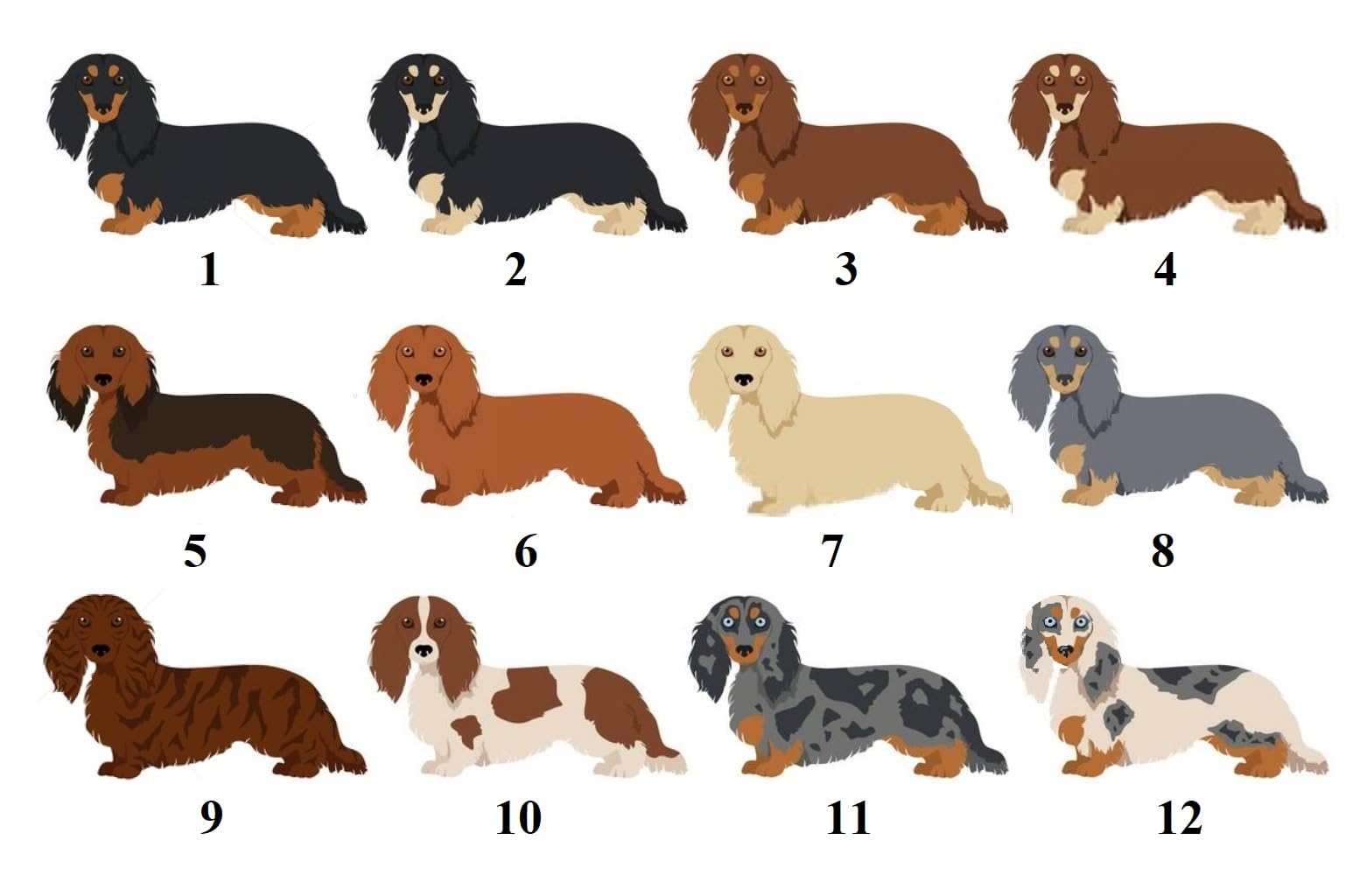 150 Personalized Return Address Labels Cute Lovable Long Haired Dachshunds (FA 61)