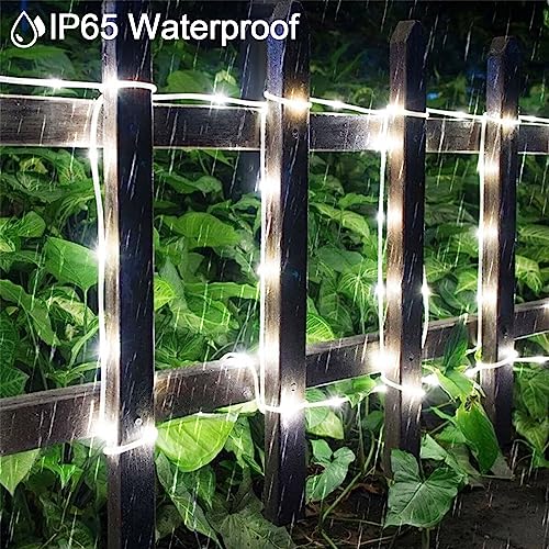 GHONLZIN Solar String Lights Outdoor Rope Lights 33ft 8 Modes 100 LEDs Solar Powered Waterproof Rope Lights for Garden Wedding Christmas Party Holiday Decorations (12M-White) - Image 2