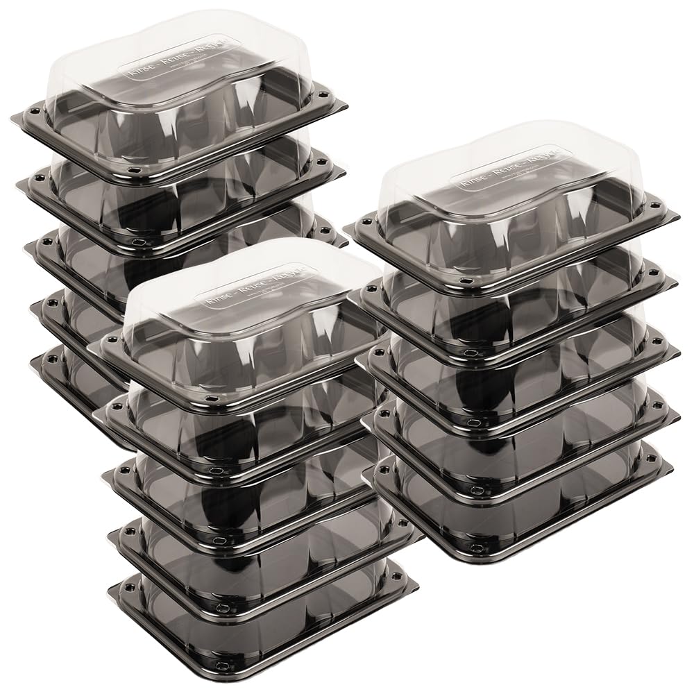 Delisupplies Clear Lid Black Base 15 X Ultimate Small Sandwich Platter With Lid, Unique Press Stud Secure Closing, Rectangle Food, Cake, Tray Set Black Base Clear Lid Serving Platters For Buffet, Catering, 255 X 180Mm