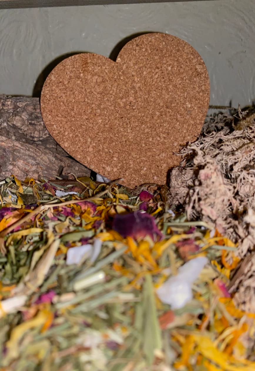 Cork Tile Pet Friendly Enrichment Hamster Mice Rat Gerbil Rodent Hamsterscaping Decoration for Cage, Enclosure, Safe Non-toxic and Natural (Flower, 1 Tile)