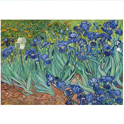 RuiChuangKeJi Cuadro en Lienzo 60x80cm Sin Marco Iris de Van Gogh Pinturas en la Pared Impresiones artísticas Obras de Arte Famosas de Van Gogh Imágenes para la Sala de Estar