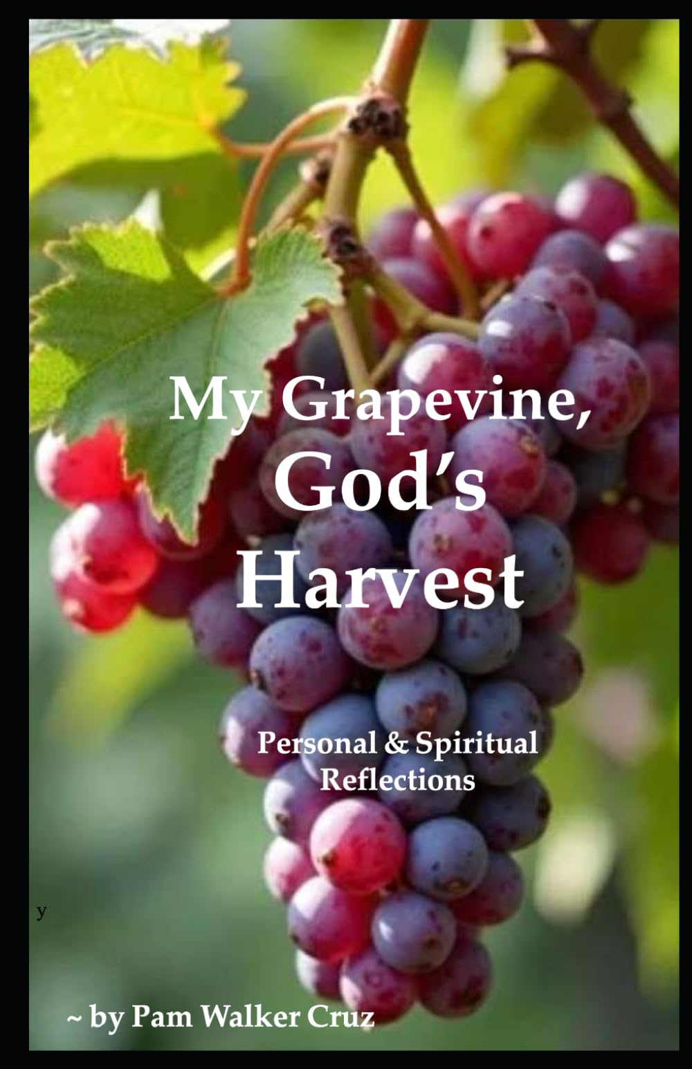 My Grapevine, God's Harvest: Personal and Spiritual Reflections