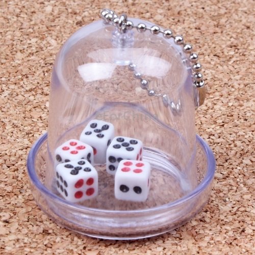 Mini 5 Dices with Dice Rollers Keychains Amazon.in Electronics