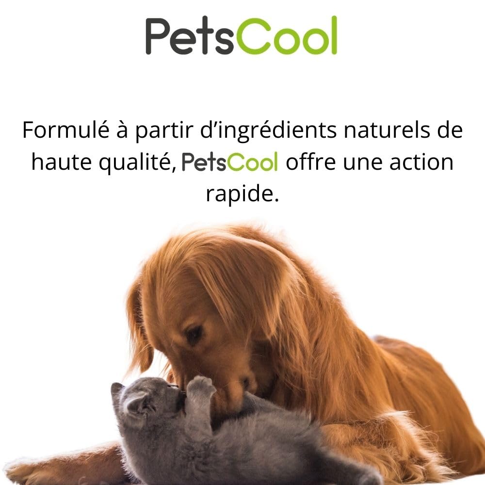 Anidev PetsCool Spray apaisant 15 ML - Anti Stress Chien Chat et NAC - Huiles essentielles valériane vétiver Sauge Basilic - Action Rapide par Inhalation - Multi espèces