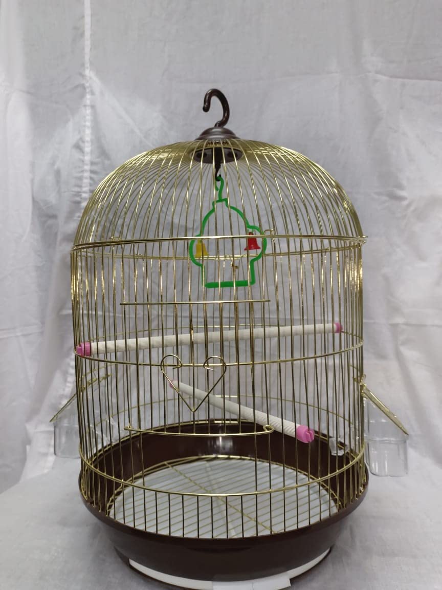 See full amazon price history chart for CENTRAL FISH AQUARIUM Bird Cage For Budgies,Finches,Love Birds,Cuttlefish Boneholder,Cuttlefish Bone,2 Plastic Perch,2Cups,Swing (H: 18 Inches/Circumference : 12 Inches)-(004 Gold) CENTRAL FISH AQUARIUM Bird Cage For Budgies,Finches,Love Birds,Cuttlefish Boneholder,Cuttlefish Bone,2 Plastic Perch,2Cups,Swing (H: 18 Inches/Circumference : 12 Inches)-(004 Gold) (B08RS6PXCV) Amazon Price History, Amazon Price Tracker