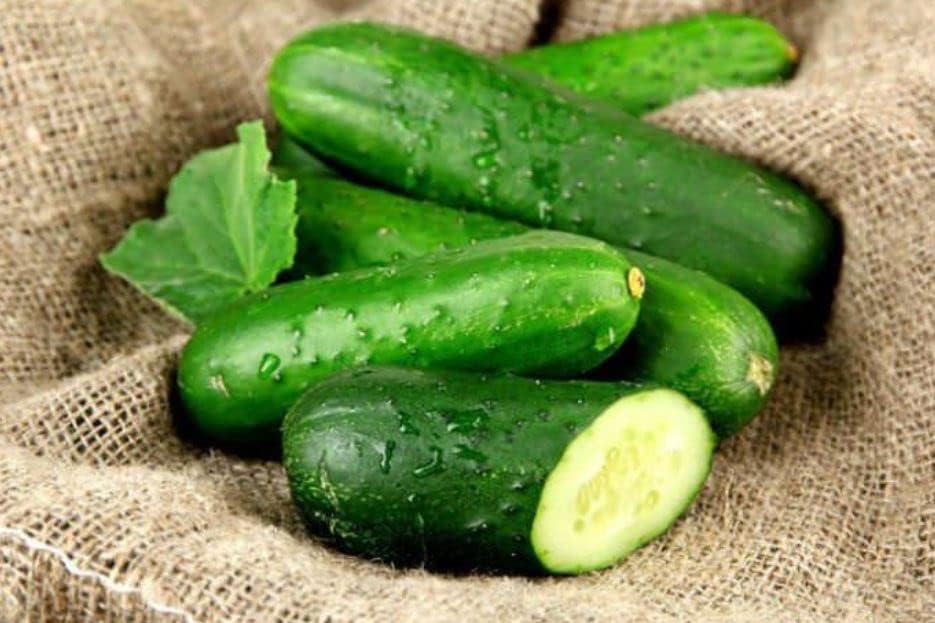 Miniatura 3 de RAISE ME UP Semillas de pepino autopolinizado Grandpa's Granddaughter F1 para encurtir reliquia sin OMG