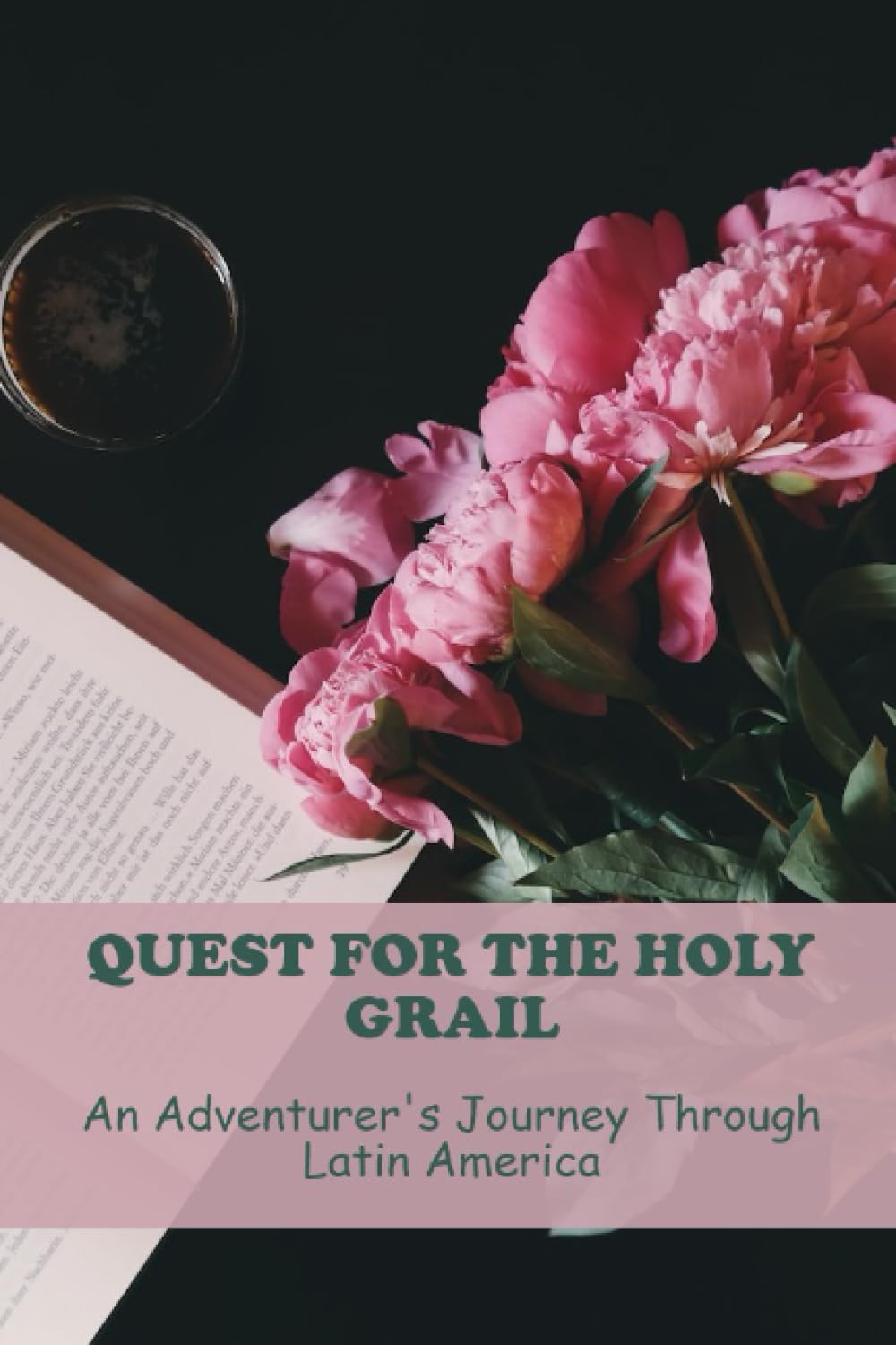 Quest For The Holy Grail: An Adventurer's Journey Through Latin America