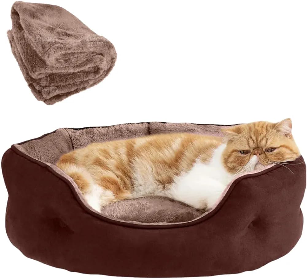 DRILLY cat fur bed orthopaedic Washable with Fur Blanket for small | medium | cats | puppy | pet | rabbit | persian cat | indoor cat | kitty | toy breed |adult cat (S)