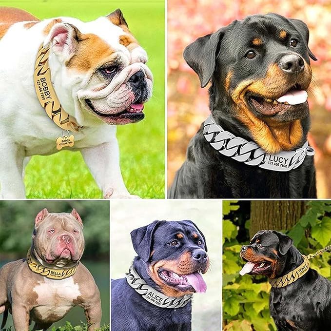 Collare a catena per cani in acciaio al titanio con chiusura di sicurezza, collare per cani da combattimento per cani di taglia grande, media e piccola taglia personalizzato anti-masticazione,