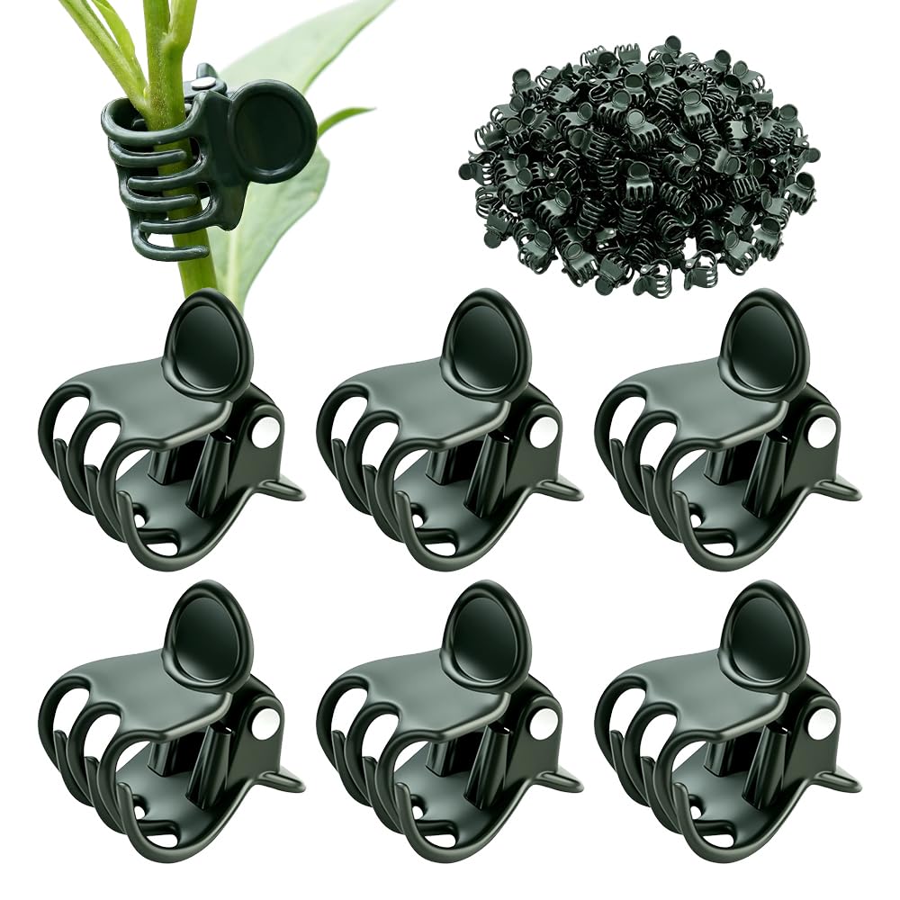 Supporti per Piante. Clip for Piante rampicanti, Orchidee, pomodori, cetrioli, Viti - 100/200/300 Pezzi(300PC)