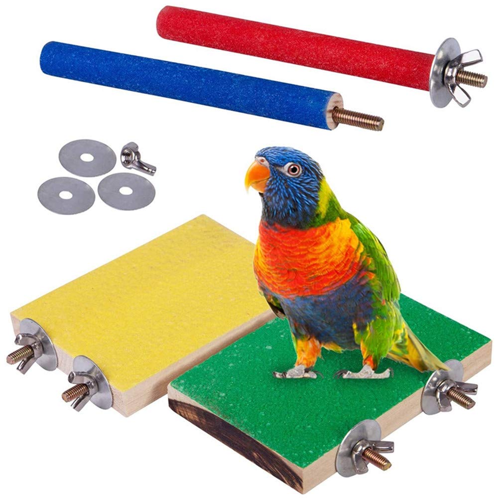 Amazon | Kingsie インコ 止まり木 4点セット 鳥 爪とぎパーチ 自然木