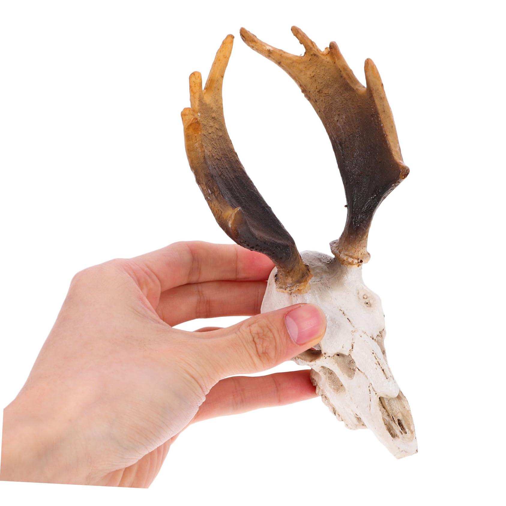 POPETPOP 5 Pz Decorazione Dell'habitat Animali Ornamento Della Caverna Del Rettile Acquario Per Rettili. Pelle Di Teschio Di Cervo Nascondiglio Per Rettili Nascondiglio Dei Rettili Resina