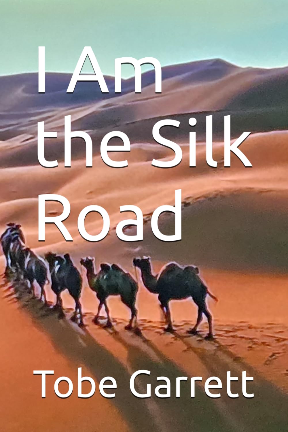 I Am the Silk Road: They say the road to hell is paved with good intentions. Well, I've seen roads paved with far more interesting things: jade, porcelain, gold, the occasional misplaced sandal.