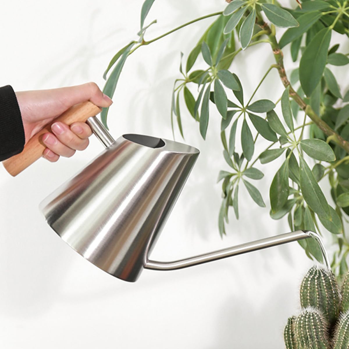 Gießkanne mit Langem Ausguss aus Edelstahl mit Holzgriff 900ml Silber
