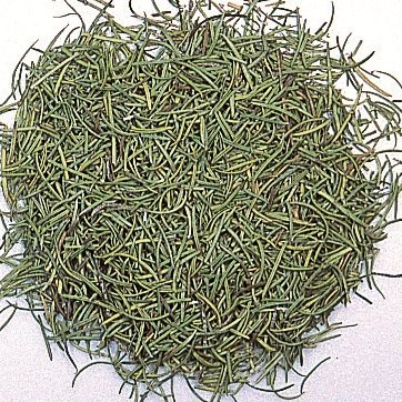 ローズマリー茶の効果 効能 味や美味しくなる淹れ方もチェック お茶ラボ