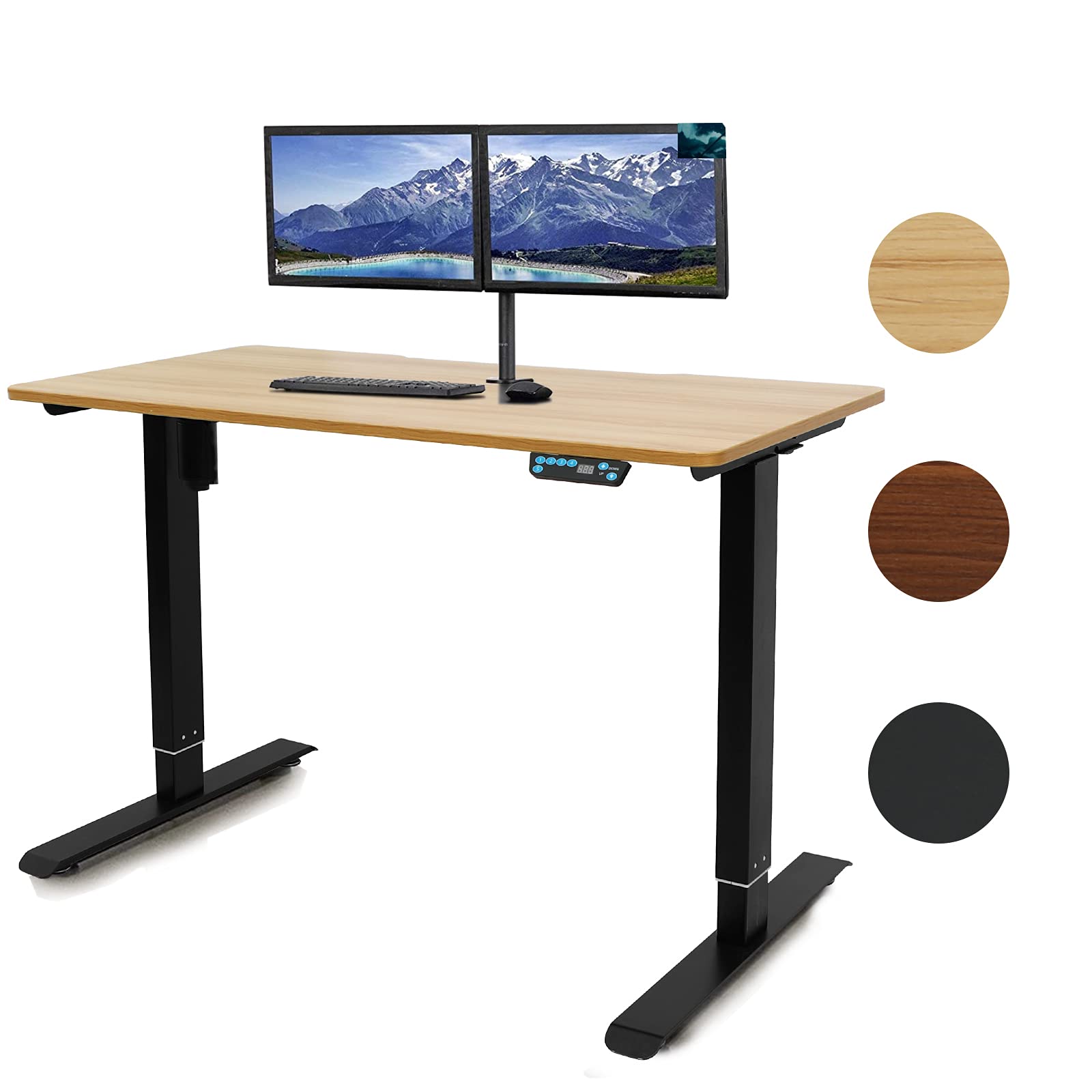 Buy Electric Standing Desk Adjustable Height 48 x 24 Inches Sit Stand