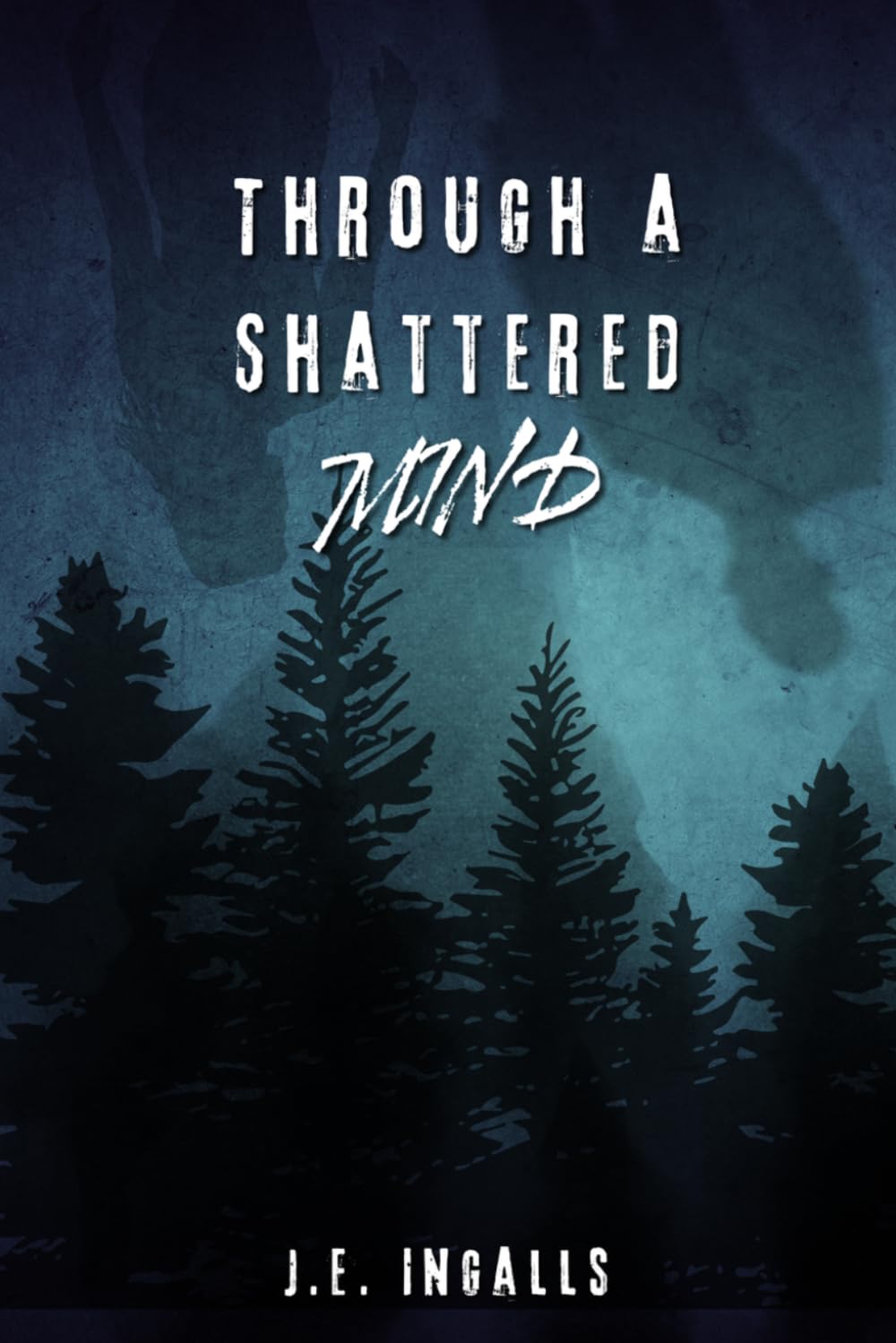 Through A Shattered Mind