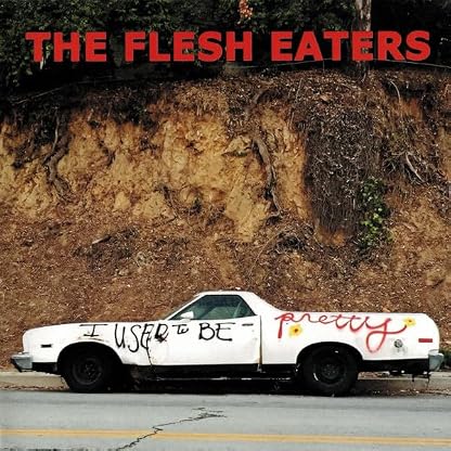 I Used To Be Pretty por The Flesh Eaters, capa do álbum