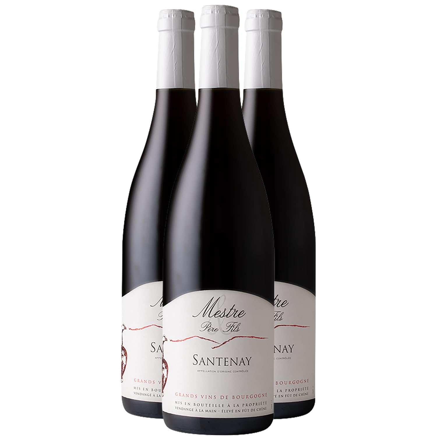 Santenay - Rouge 2023 - Domaine Mestre Père et Fils - Vin Rouge de Bourgogne (3x75cl)
