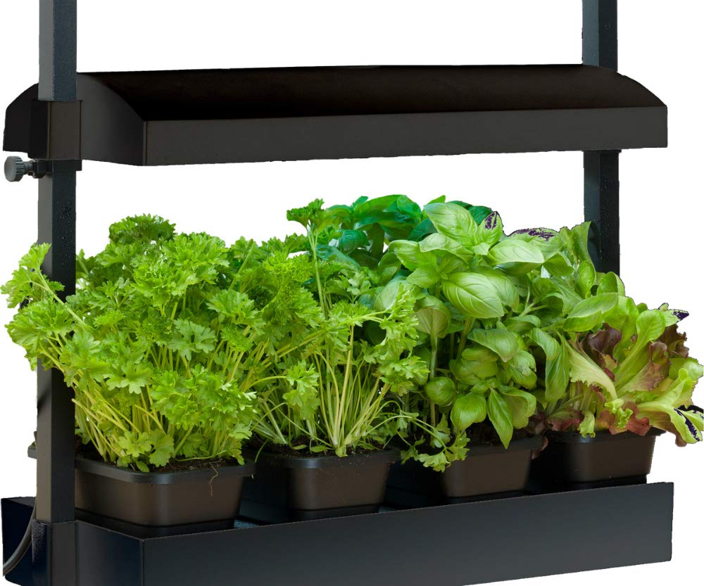 J庭　J.GARDEN58 BeLTOON フラッシュライト J庭 J.GARDEN58 BeLTOON フラッシュライト J庭 J.GARDEN58 BeLTOON