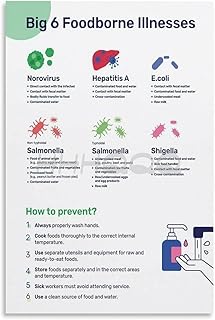 IFJFP Big 6 Foodborne Illnesses Poster, Food Safety Poster Metal Tin Sign Wall Art for Room Aesthetic and Decor Bedroom Living Bathroom Kitchen Office 8x12 inch