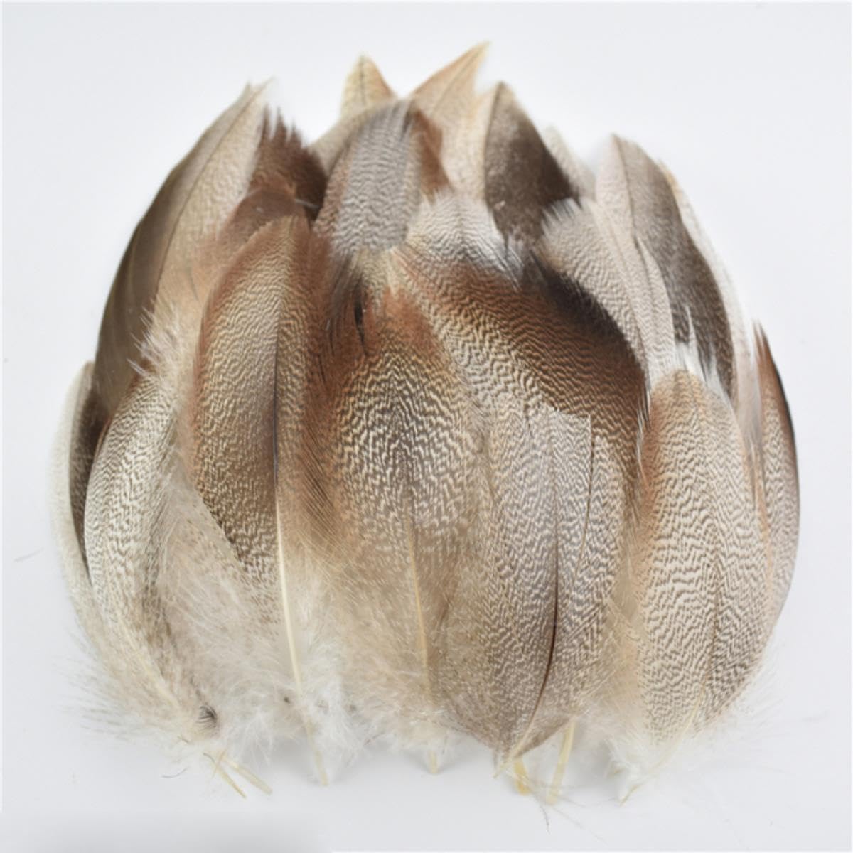 Natürliche Pfauenfasanenfedern, kleine Hühnergänsefedern, Materialien, Bastelzubehör, Dekoration, Größe 4–8 cm, 500 Stück