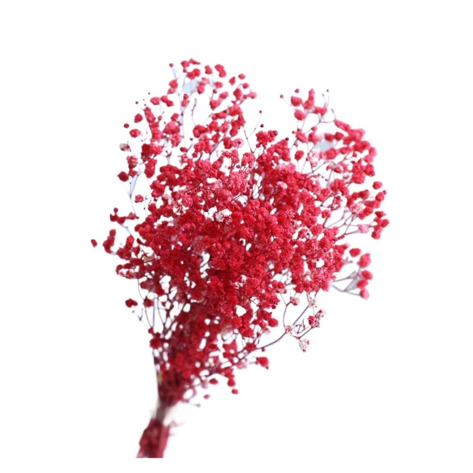 WJIAYAO dried gypsophila flowers 100g Preserved Baby Breath White Gypsophila Dried Flower Wedding Bouquet Decoration Home Vase Filler(Red)