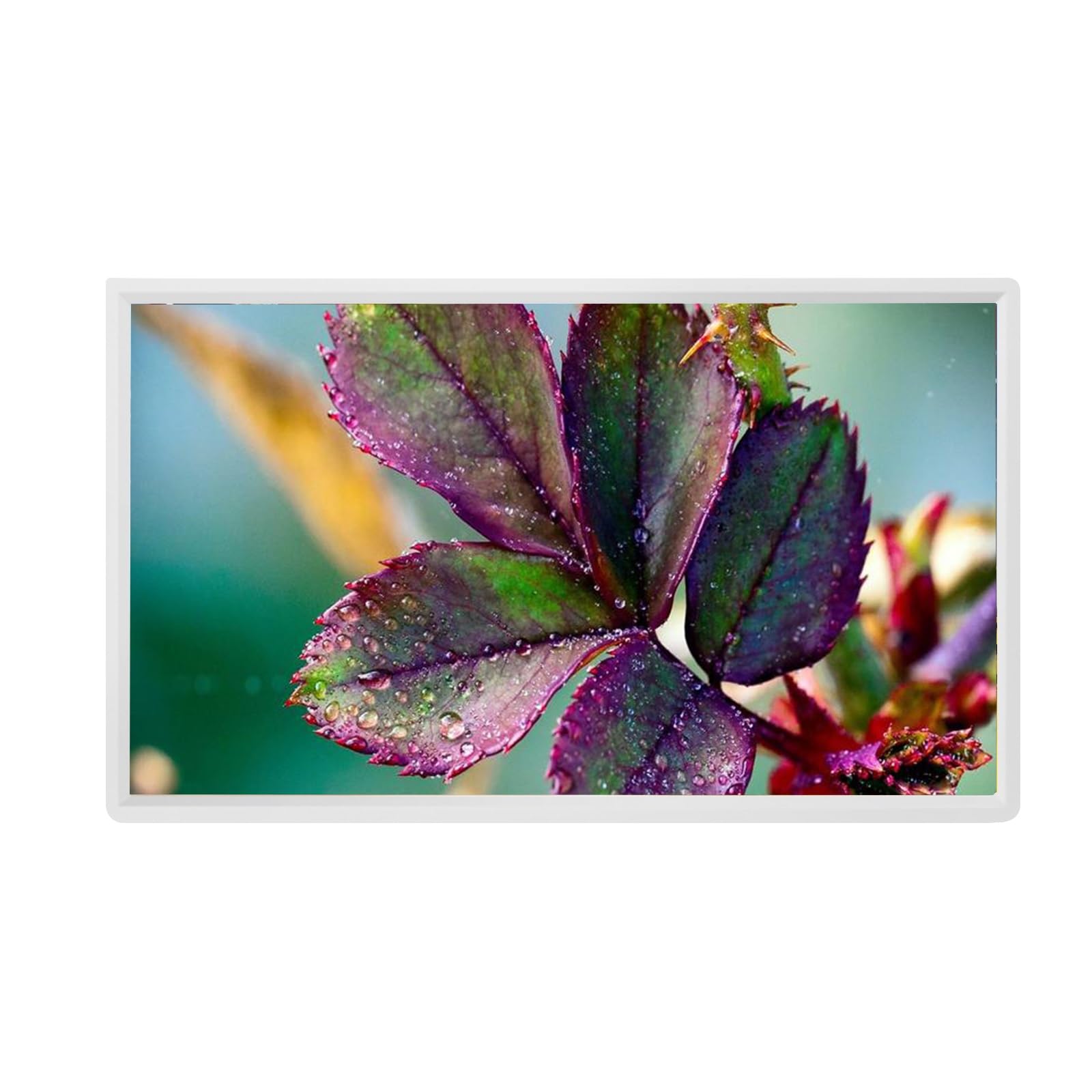 Cadre Photo Numérique 22 Pouces, 24 Pouces, 27 Pouces, 32 Pouces, Écran IPS, Écran HD 1080P, Machine Publicitaire Murale, Facile À Installer(White,27 inch)