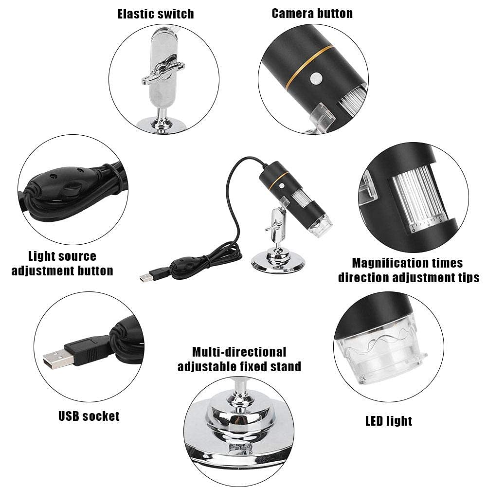 Microscoop voor beginners - een complete gids - - Blog